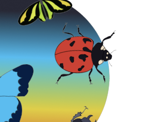 This is a red ladybug, one of my images to add to the eye motion graphics.
